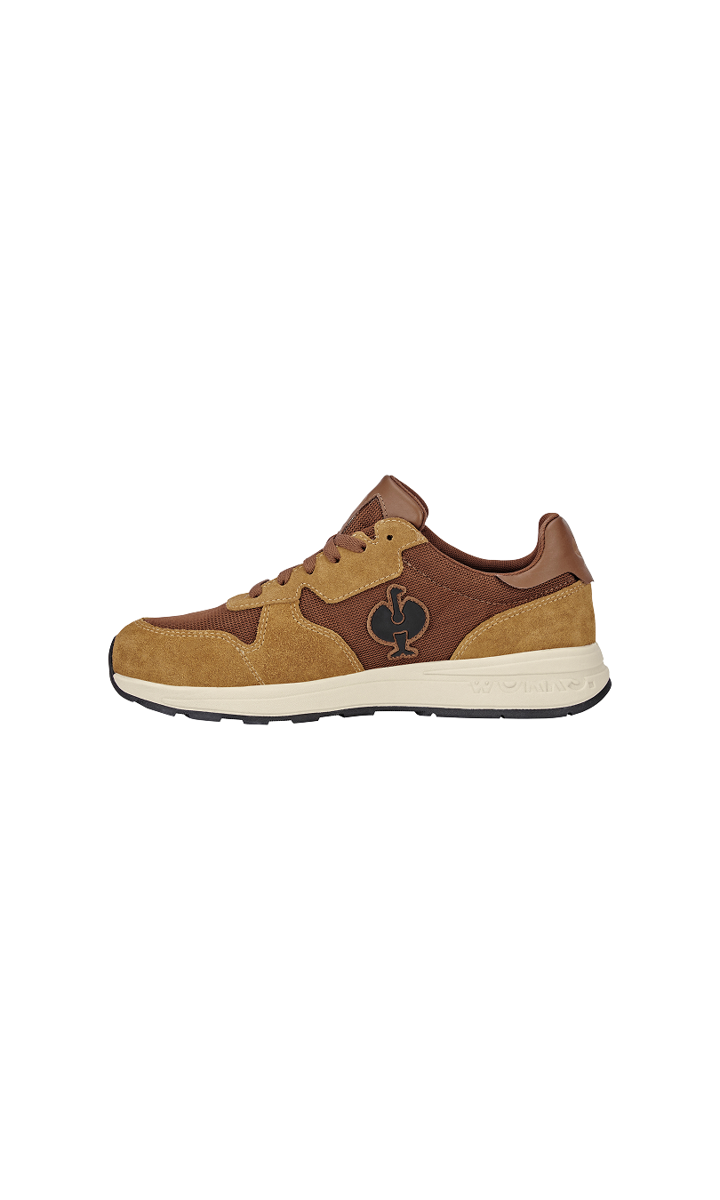 Desert Brown