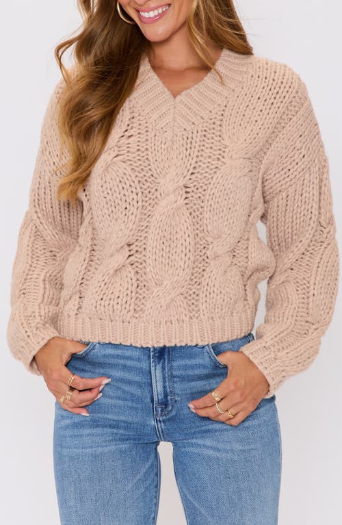 Vici Collection Josephine Chunky V-neck Sweater In Brown