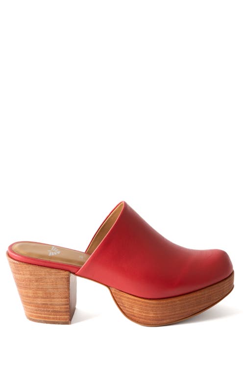 Fortress Ava Clog Mule In Coral