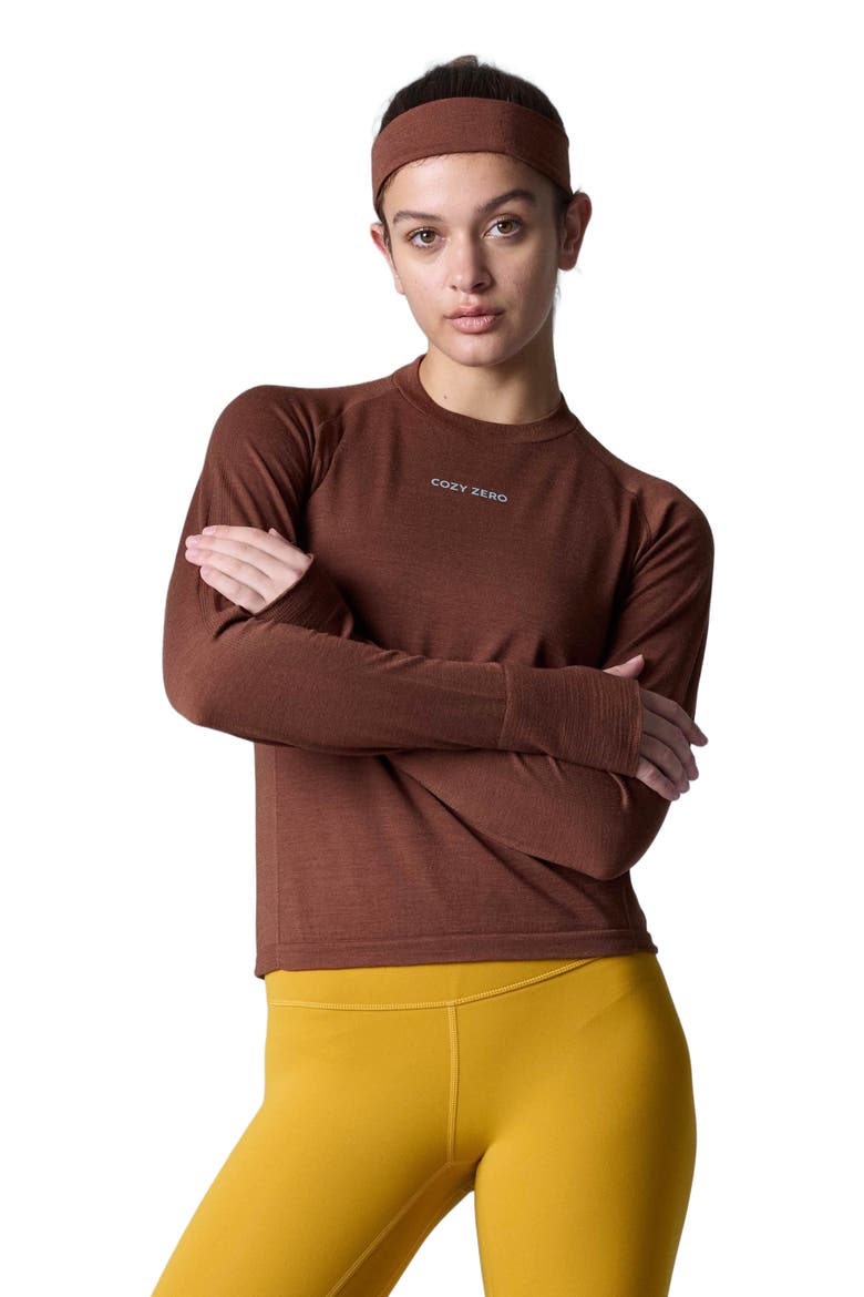 Tech Merino Classic Fit Long Sleeve Base Layer, Alternate, color, Cappuccino