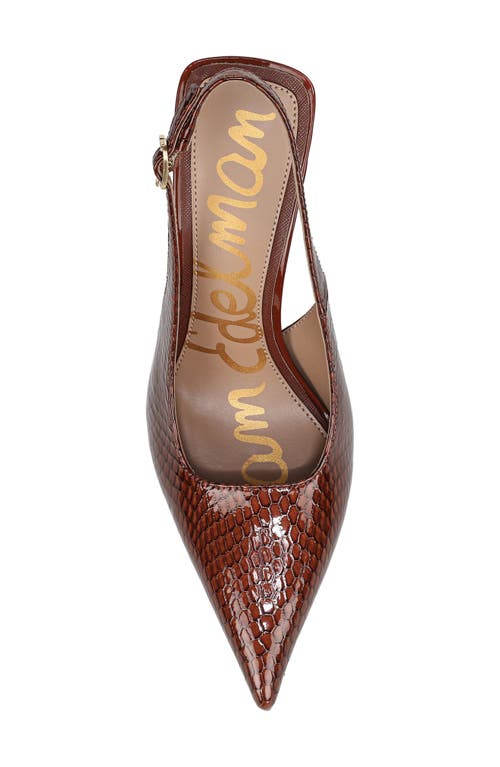 Sam Edelman Odette Slingback Pointed Toe Pump In Brown