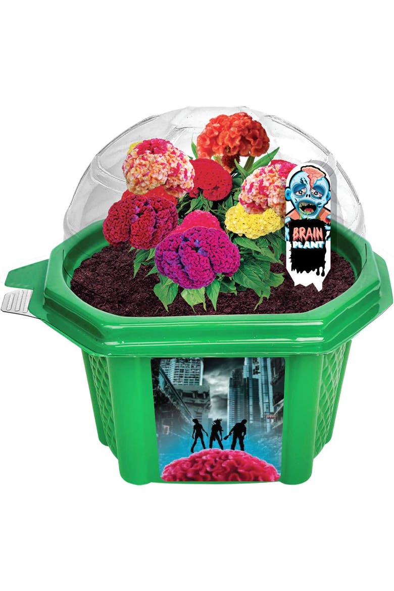 Zombie Brains - Indoor Micro-Gardening Kit, Main, color, None