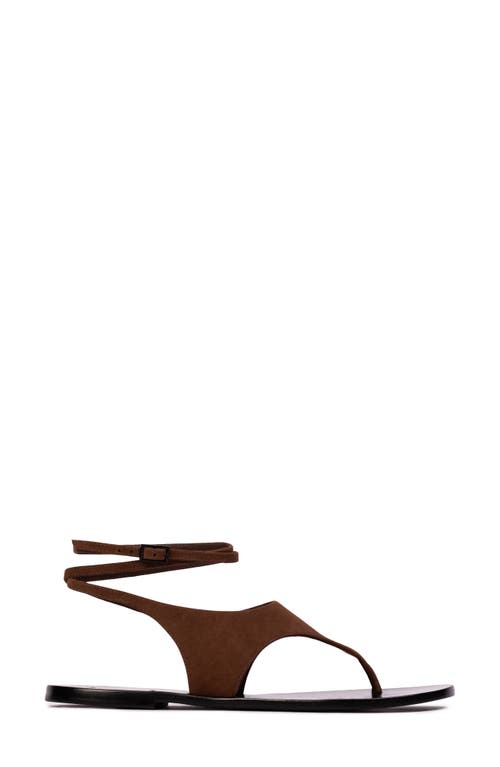 Black Suede Studio Suede Thong Flat Ankle-strap Sandals In Brown Suede