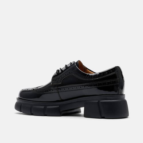 Marc Nolan Ms. Alexander Leather Lug Wingtip Derby In Multi