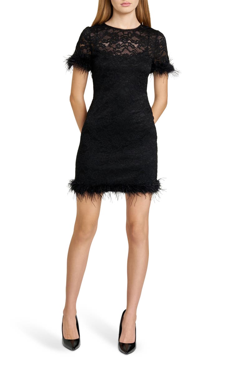 Alina Feather Lace Minidress, Main, color, BLACK