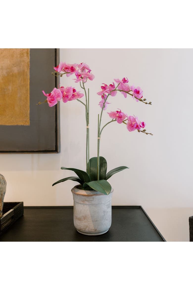 Artificial 2-Stem Phalaenopsis Pink Orchid, Alternate, color, White