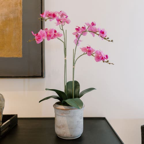 Cg Hunter Artificial 2-stem Phalaenopsis Pink Orchid In White