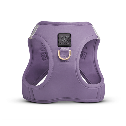 SoHo Dog Harness
