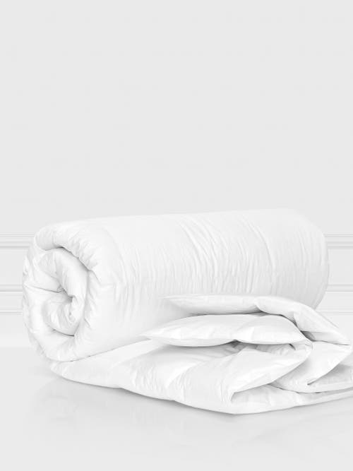 Togas Royal Goose Down Comforter In White