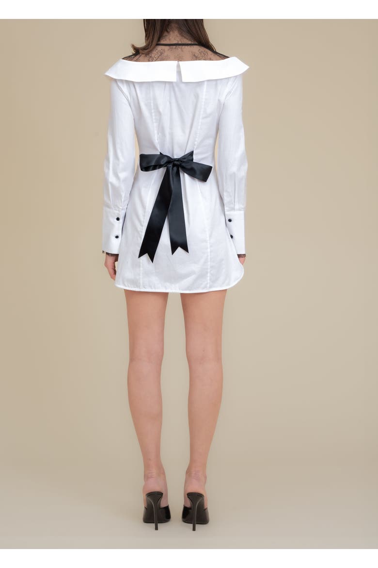 Empress Oversized Lace-Trim Cotton Poplin Shirt Dress, Alternate, color, White