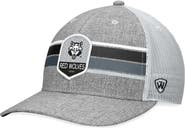 TOP OF THE WORLD Men's Top of the World Heather Gray Arkansas Razorbacks Essential Trucker Adjustable Hat
