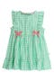 selected Classic Spring Green Gingham
