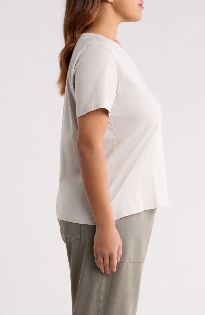 Eileen Fisher Crewneck Organic Cotton T-Shirt, Alternate, color, Chalk