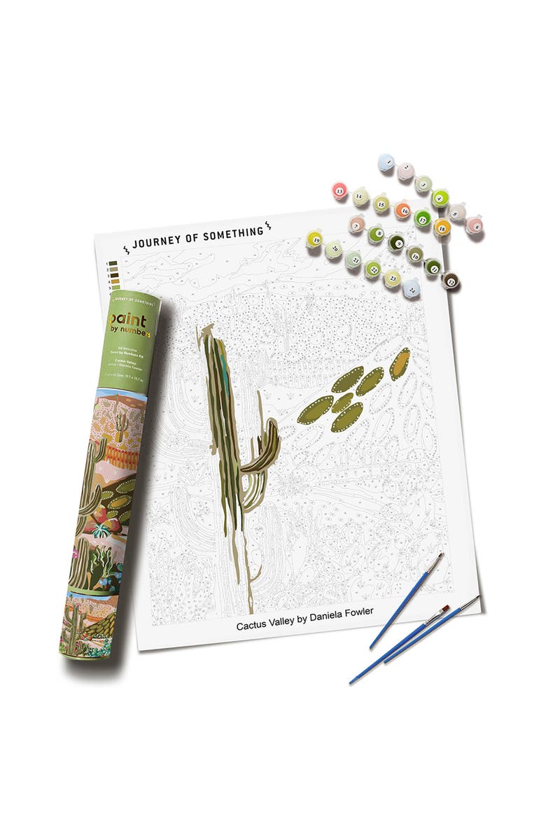 Journey of Something Paint By Numbers, Cactus Valley, DIY Painting Kit, Main, color, Multicolored