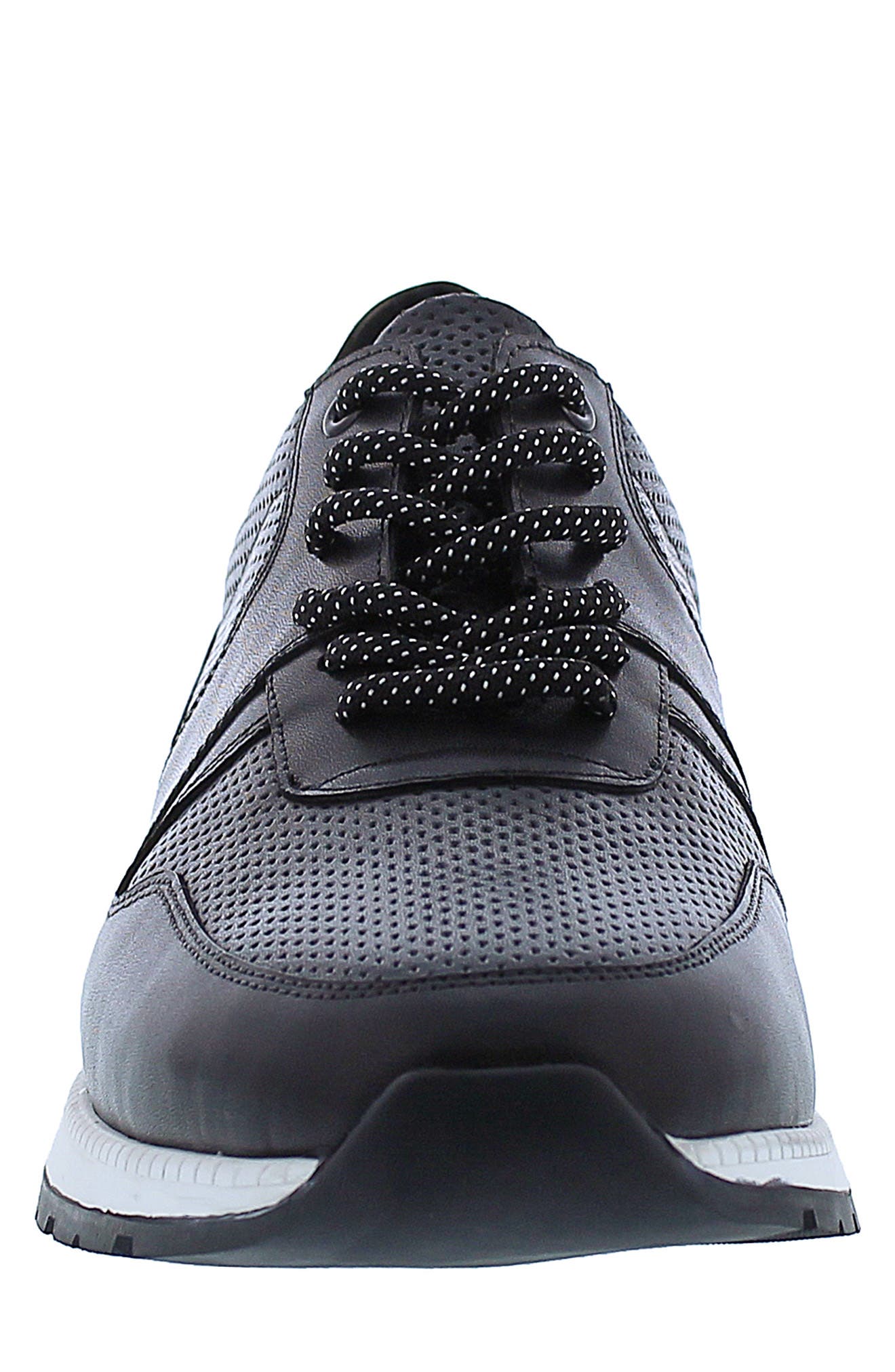 Zanzara Whitley Leather Perforated Sneaker, Alternate, color, 