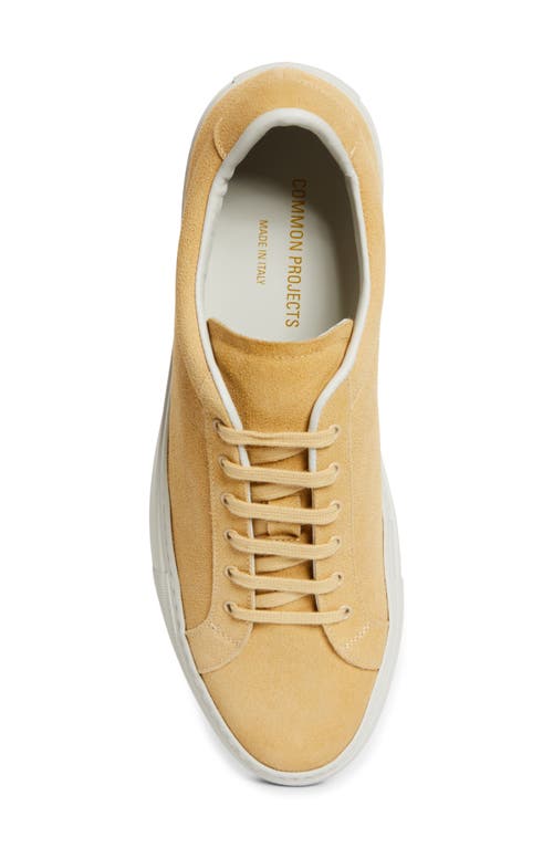 Common Projects Retro Sneaker In 1302 Tan