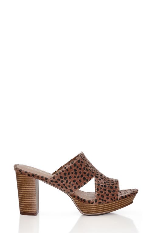 City Chic Remy Platform Sandal