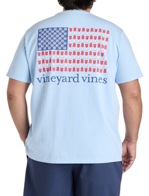 Big & Tall Party In The USA Graphic Tee