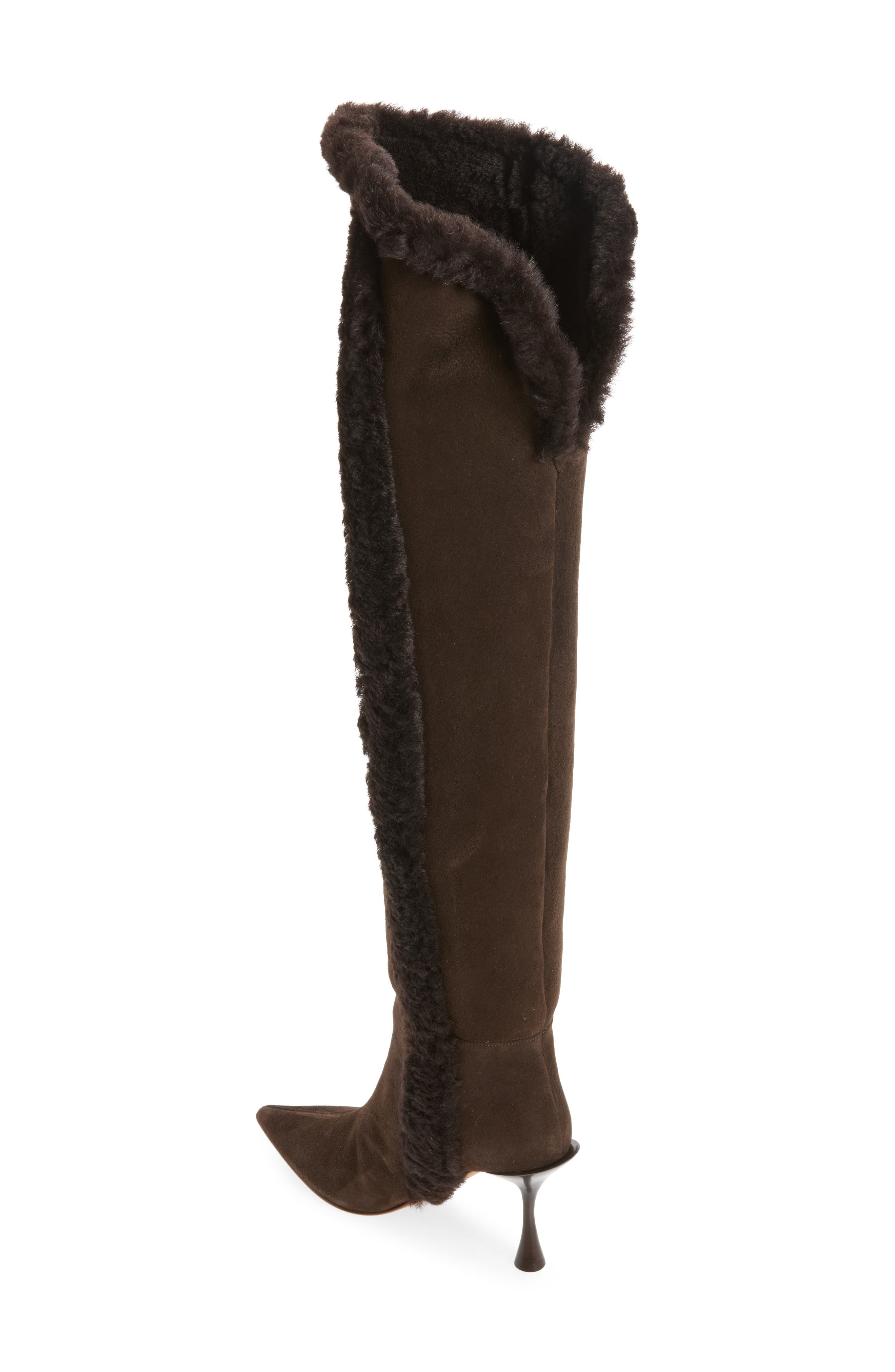 Eiza Genuine Shearling Trim Over the Knee Boot, Alternate, color, BROWN SUEDE