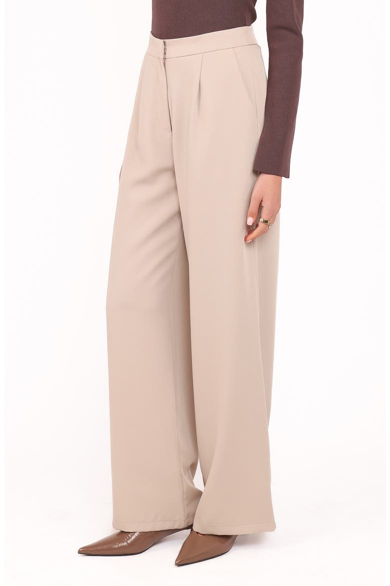 Ana Pleated Wide Leg Pants, Alternate, color, BEIGE