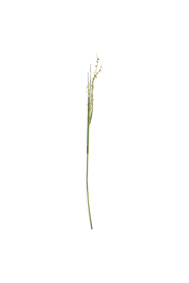 Scotch Grass Artificial 48" Stem, Main, color, Green