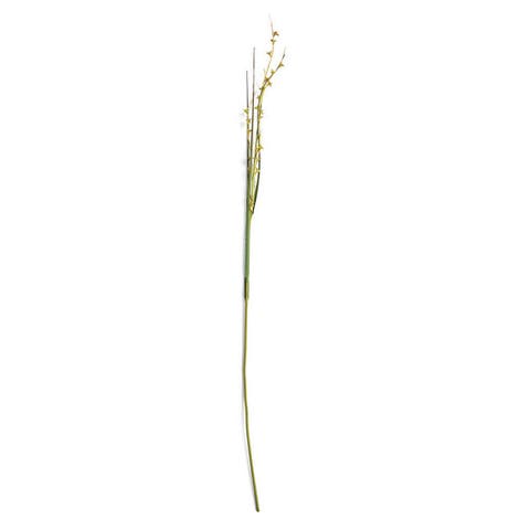 Scotch Grass Artificial 48" Stem