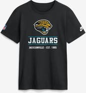 Nike Men's Nike Black Jacksonville Jaguars Sideline Alternate Final Sprint Dri-FIT T-Shirt