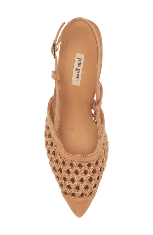 Paul Green Amica Slingback Pointed Toe Pump In Sisal Diva Combo