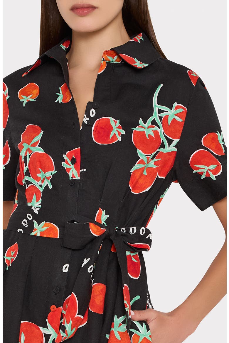 Lexi Tomato Print Midi Dress, Alternate, color, BLACK/ RED