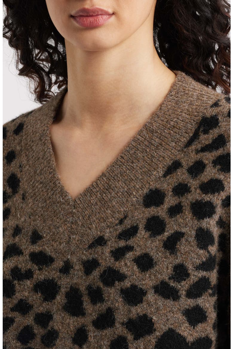 Rae V-Neck Sweater, Alternate, color, HAZELNUT SPOTTED