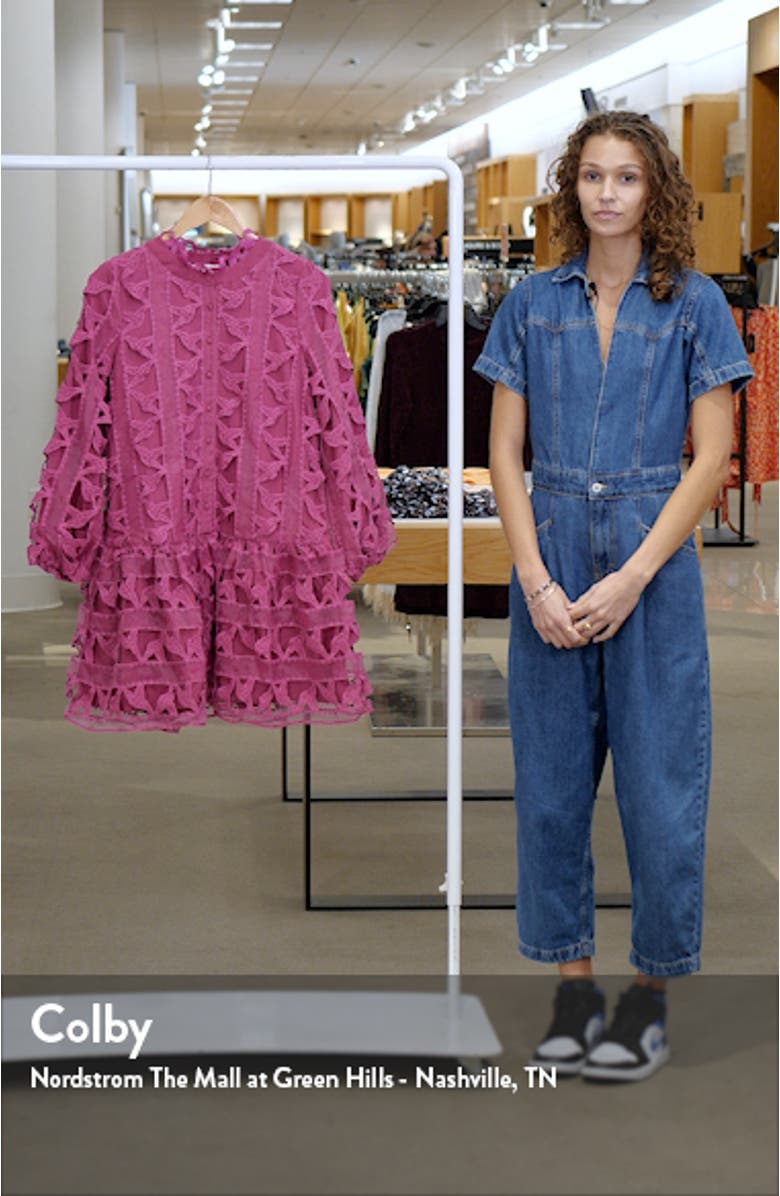 Wylla Humbird Lace & Organza Drop Waist Dress, sales video thumbnail