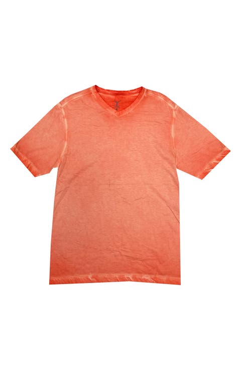 Spray V-Neck Pima Cotton T-Shirt