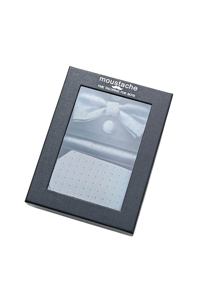 MOUSTACHE Dotted Tie Set, Alternate, color, Silver