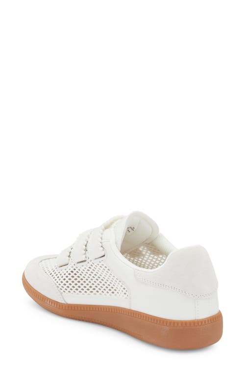 Steve Madden Momentum Sneaker In White