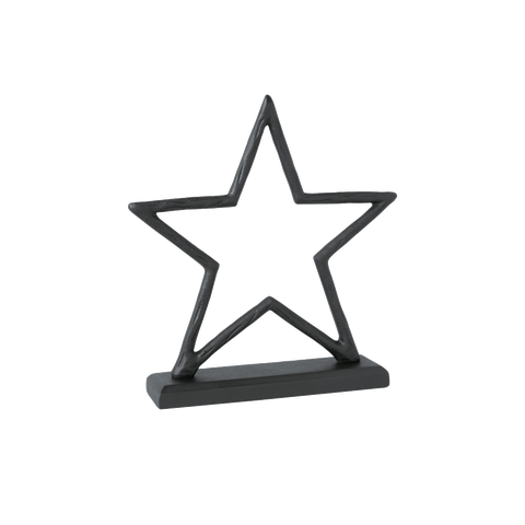 Christmas Chic Decorative Star