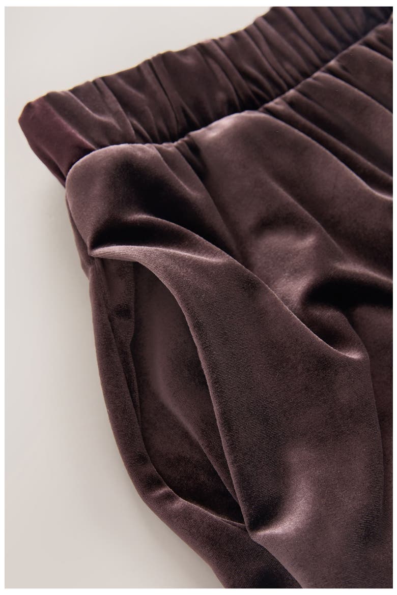 Stretch Velvet Wide Leg Pants, Alternate, color, MOCHA BROWN