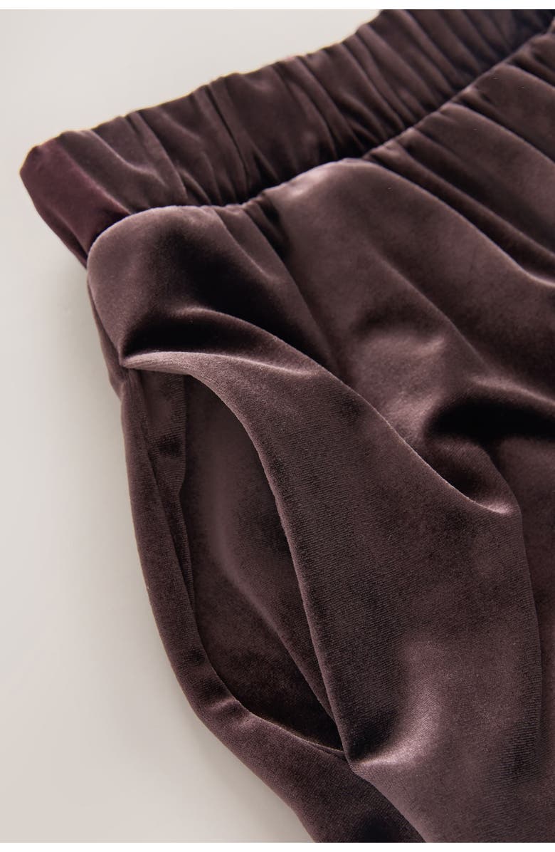 NEXT Stretch Velvet Wide Leg Pants, Alternate, color, Mocha Brown