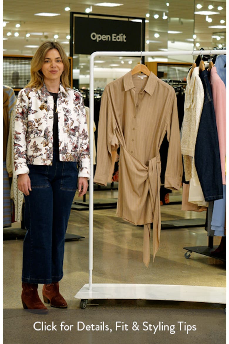 The Sweet Talker Pinstripe Long Sleeve Shirtdress video