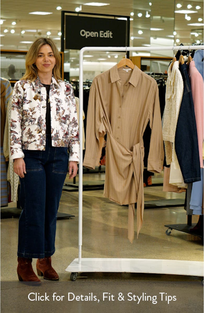 The Sweet Talker Pinstripe Long Sleeve Shirtdress, sales video thumbnail