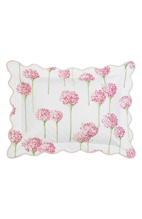 Matouk Floral Quilted Cotton Percale Sham In Peony