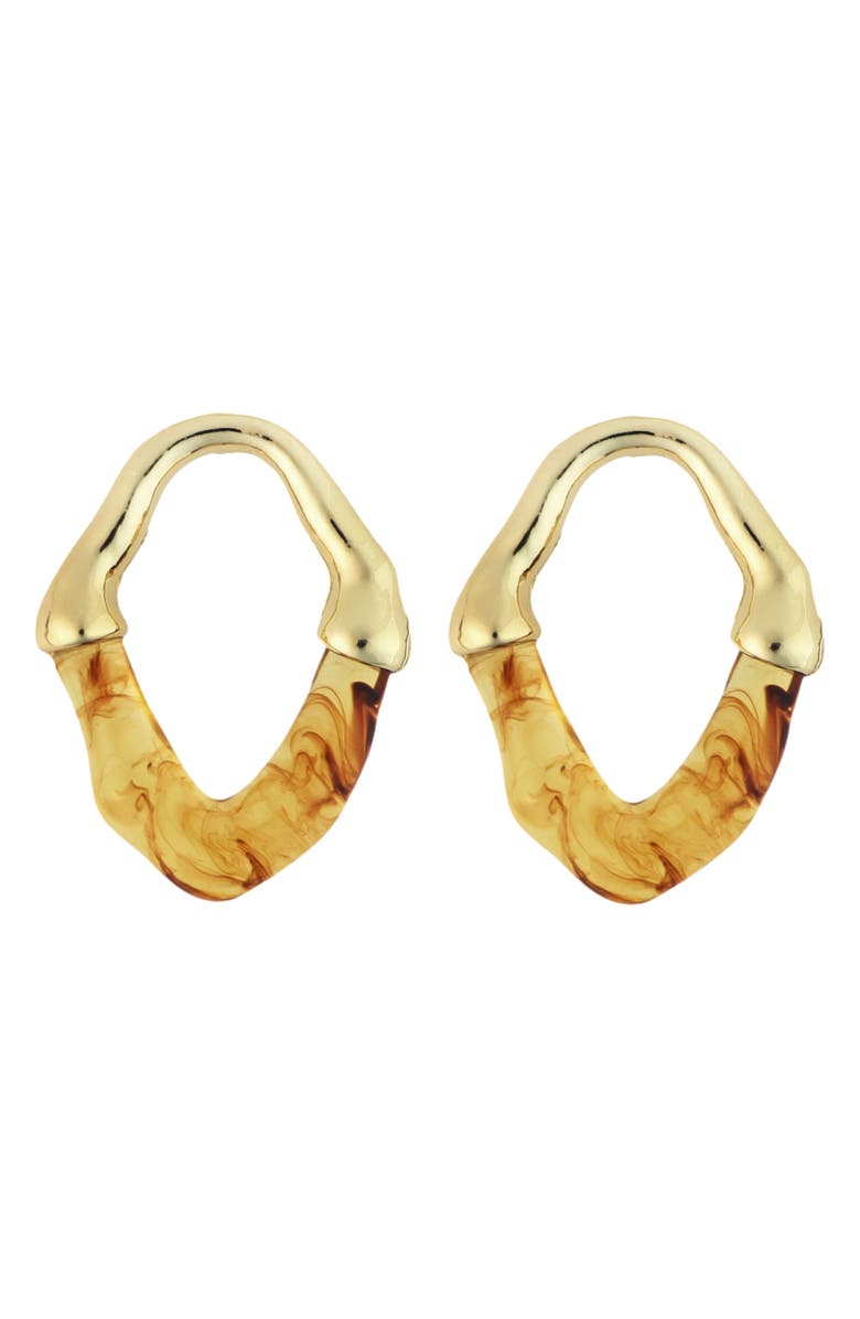Panacea Resin Hoop Earrings, Main, color, Brown