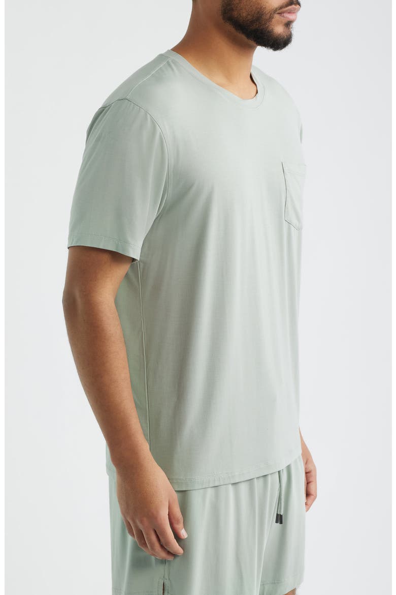 Stretch Modal & Silk Sleep T-Shirt, Alternate, color, SAGE