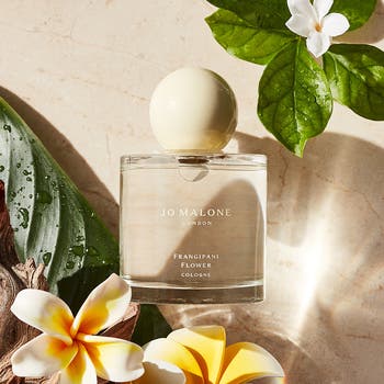 【JoMalone】Frangipani Flower＆BeachBlossom Jo Malone London™ Frangipani Flower Cologne | Nordstrom