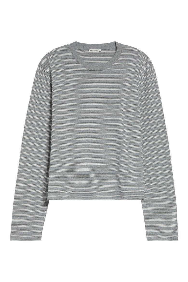 Wynn Stripe Long Sleeve Cotton T-Shirt, Alternate, color, HEATHER STRIPE