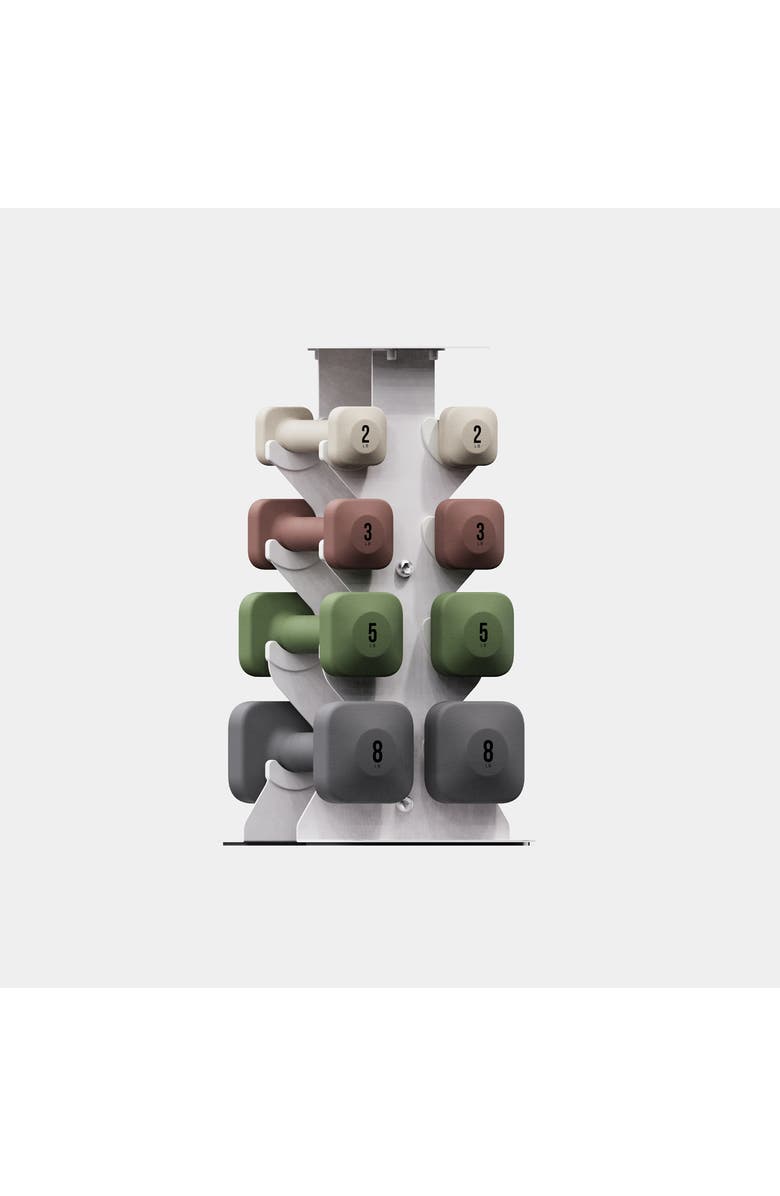 WeGym SafeGrip Dumbbells Lower Set with Light Rack - 2, 3, 5, 8lbs, Main, color, 