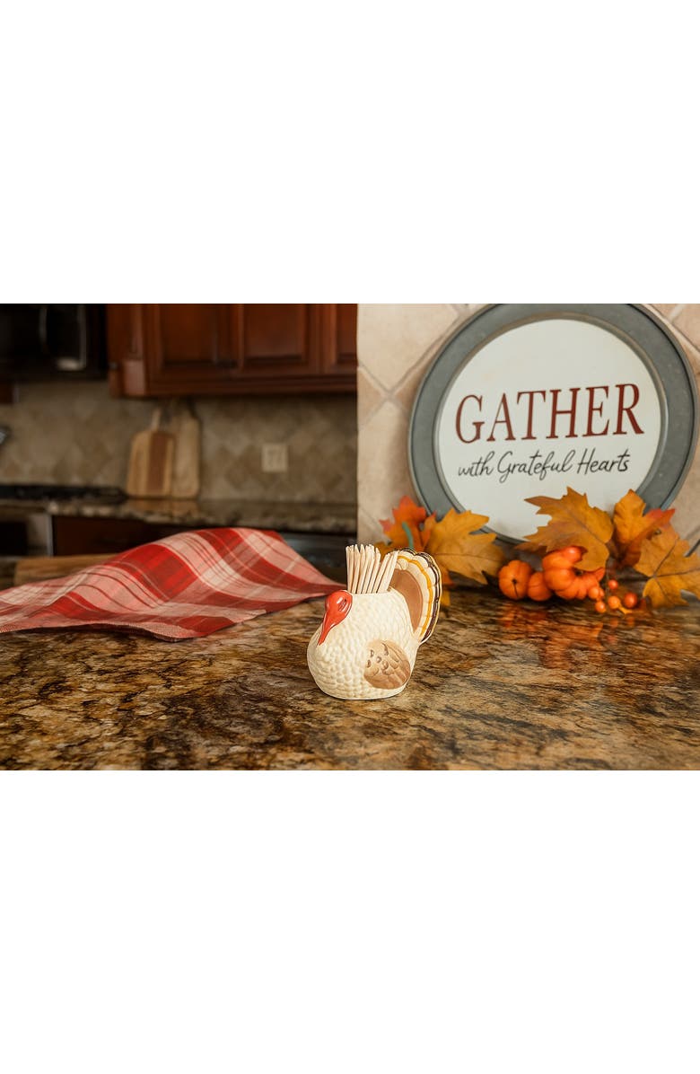 tag Turkey Toothpick Holder Set Ceramic Kitchen Accessory, Alternate, color, Brown