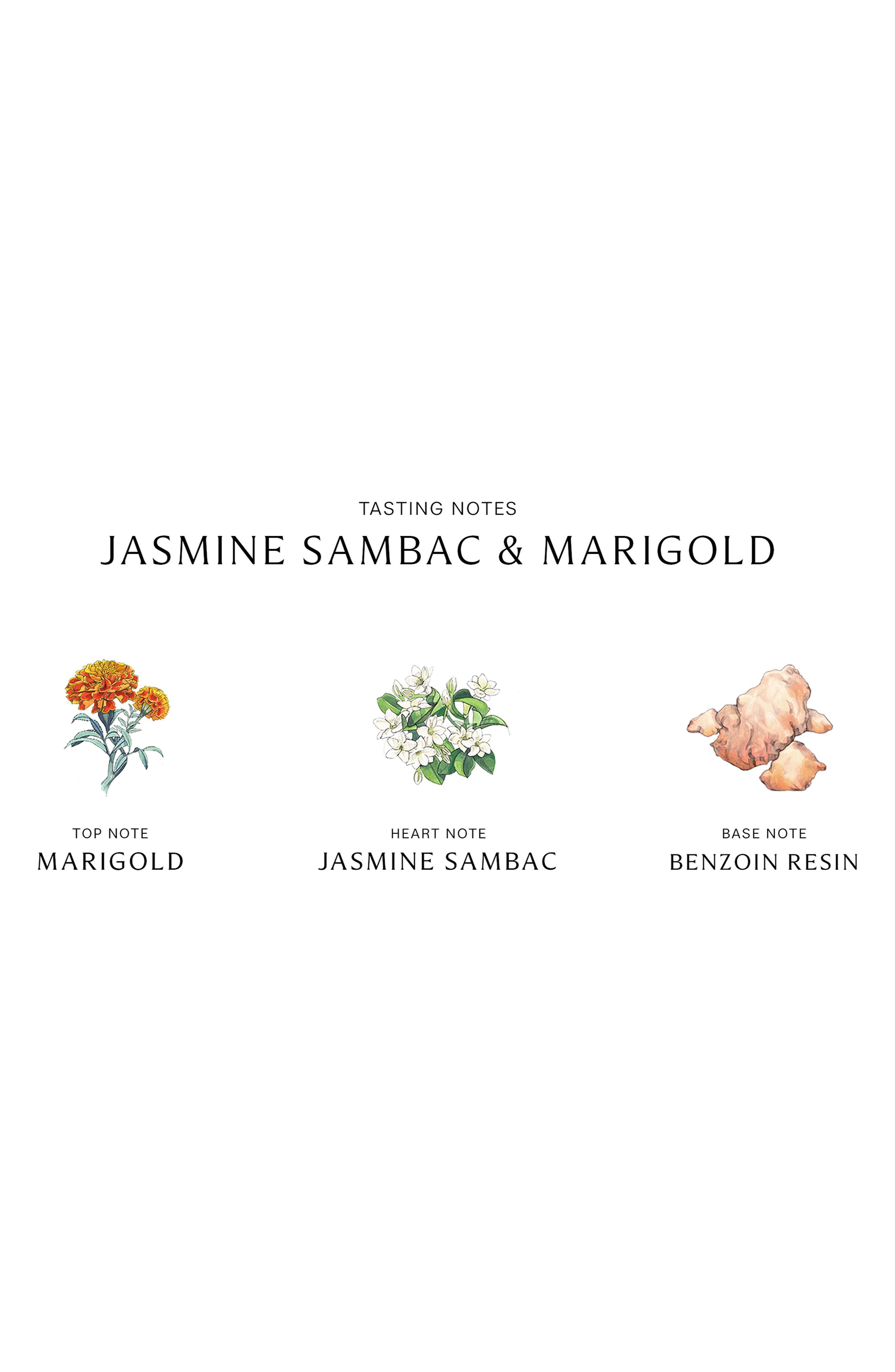 Jasmine Sambac & Marigold Cologne Intense | Nordstrom