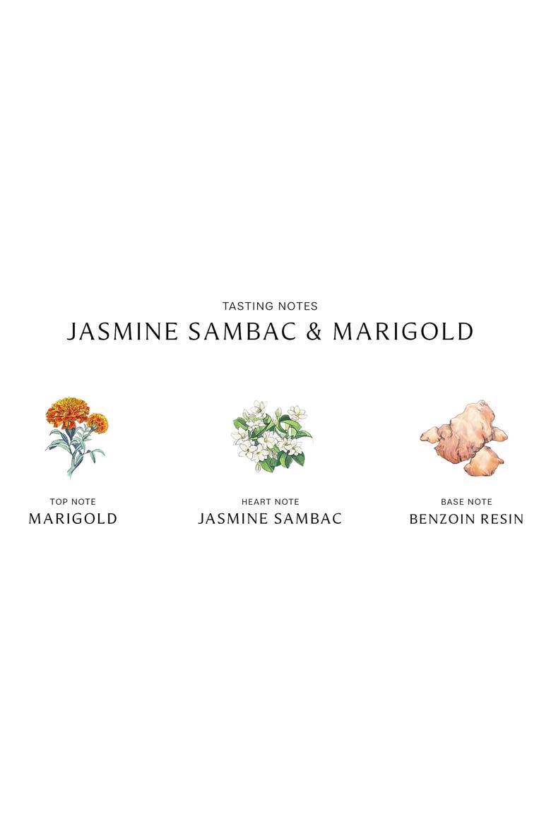 Jasmine Sambac & Marigold Cologne Intense, Alternate, color, NO COLOR