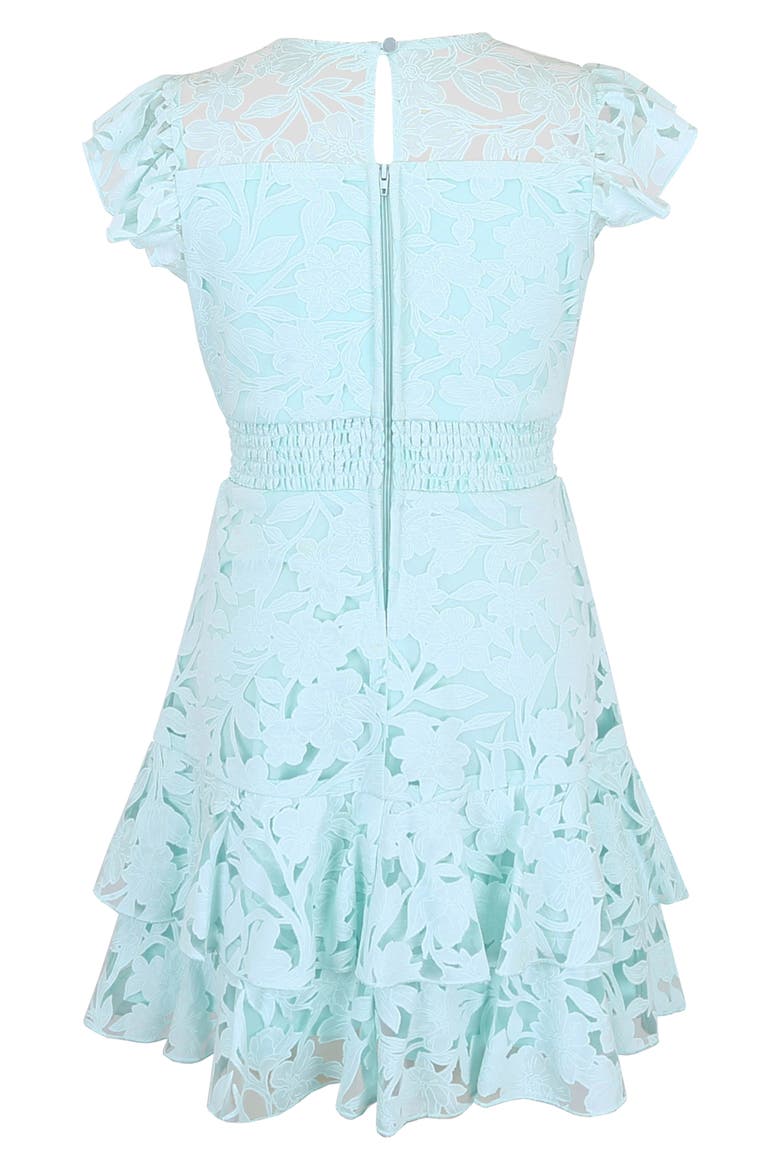 Kids' Burnout Lace Overlay Party Dress, Alternate, color, MINT