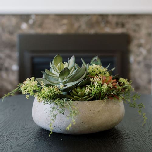 Cg Hunter Round Artificial Succulent Arrangement, Natural Planter In Green